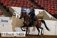 11buck_1489 proof