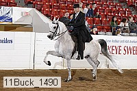 11buck_1490 proof