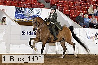 11buck_1492 proof
