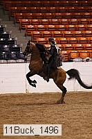 11buck_1496 proof
