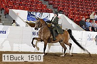 11buck_1510 proof