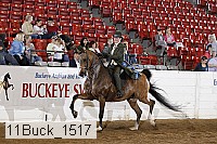 11buck_1517 proof