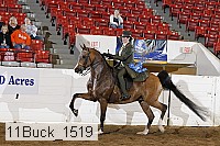 11buck_1519 proof