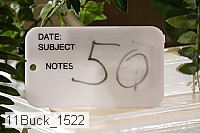 11buck_1522 proof