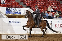 11buck_1524 proof