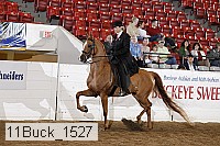11buck_1527 proof