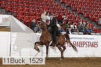11buck_1529 proof
