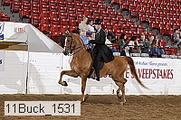 11buck_1531 proof