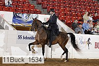11buck_1534 proof