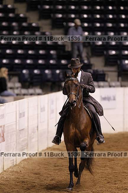 Proof 11buck_1536