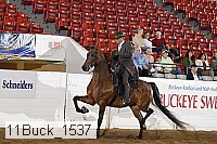 11buck_1537 proof