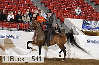 11buck_1541 proof