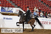 11buck_1545 proof