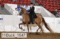 11buck_1547 proof