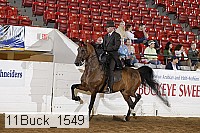 11buck_1549 proof