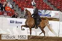 11buck_1552 proof