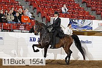 11buck_1554 proof