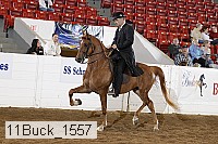 11buck_1557 proof