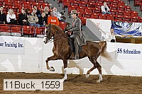 11buck_1559 proof