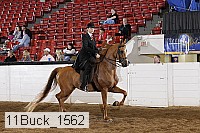 11buck_1562 proof