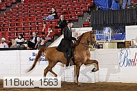 11buck_1563 proof