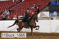 11buck_1565 proof