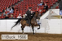 11buck_1566 proof
