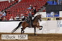 11buck_1567 proof