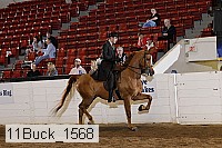 11buck_1568 proof