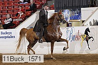 11buck_1571 proof
