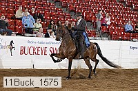 11buck_1575 proof