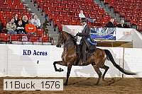 11buck_1576 proof