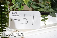 11buck_1579 proof