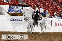 11buck_1581 proof