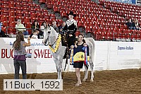 11buck_1592 proof