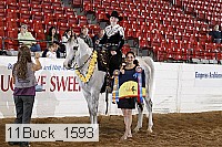 11buck_1593 proof