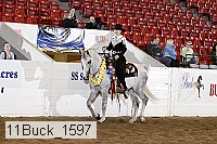 11buck_1597 proof