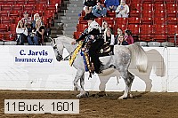 11buck_1601 proof