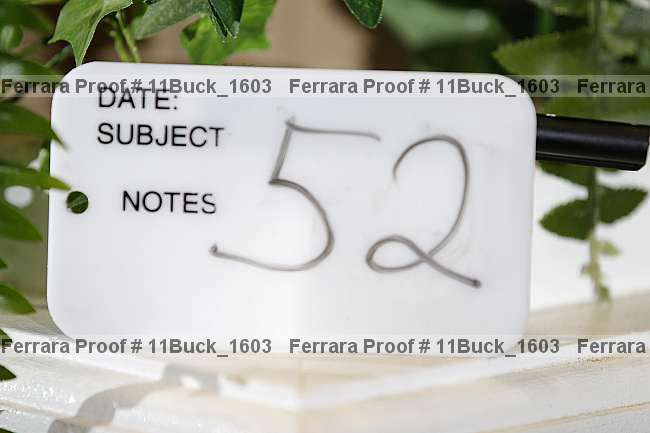Proof 11buck_1603