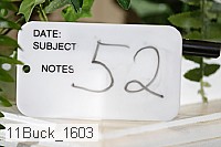 11buck_1603 proof