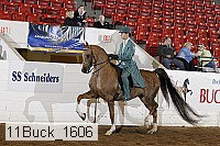 11buck_1606 proof