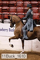 11buck_1610 proof