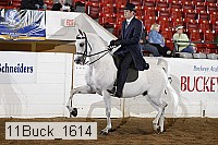 11buck_1614 proof