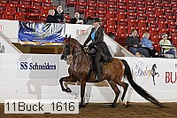 11buck_1616 proof