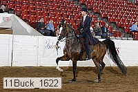 11buck_1622 proof
