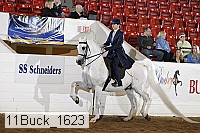 11buck_1623 proof
