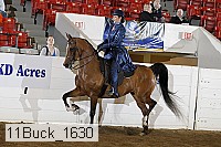 11buck_1630 proof