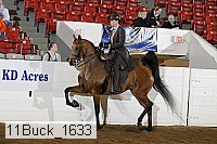 11buck_1633 proof