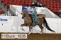 11buck_1635 proof