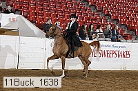 11buck_1638 proof